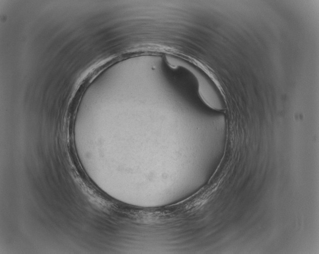 X0000083610987200703121558