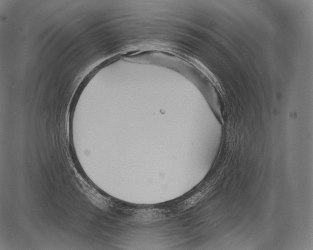 X0000083610988200703121558