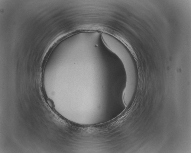 X0000083610992200703121558