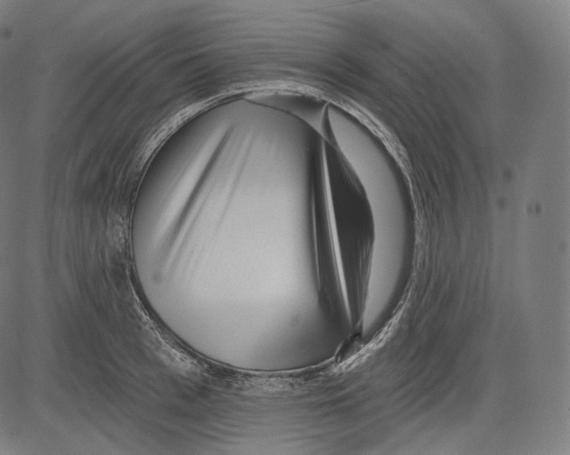 X0000083610993200703121558