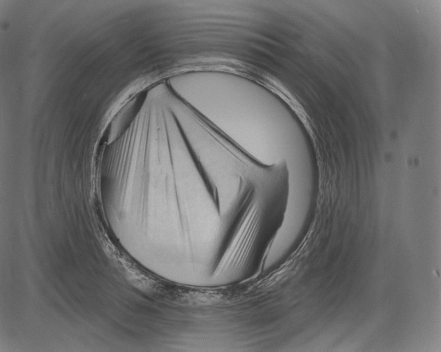 X0000083610994200703121558