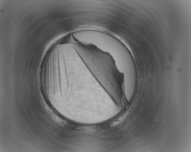 X0000083610995200703121558