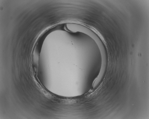 X0000083610996200703121558