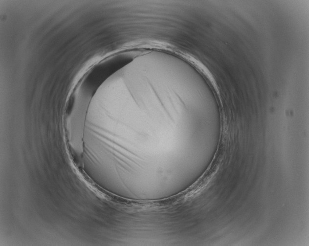 X0000083610997200703121558