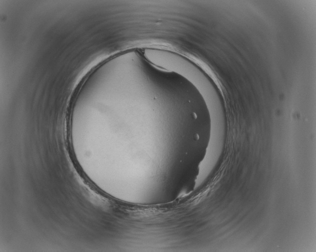 X0000083610999200703121558