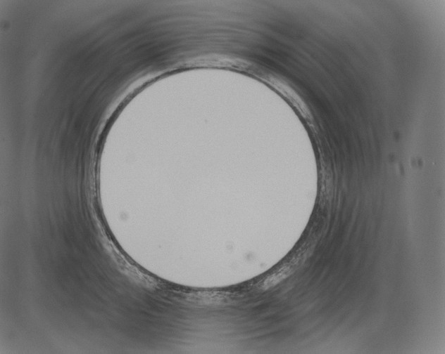 X0000083611000200703121558