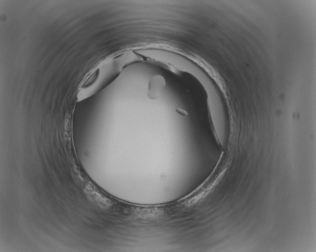 X0000083611001200703121558