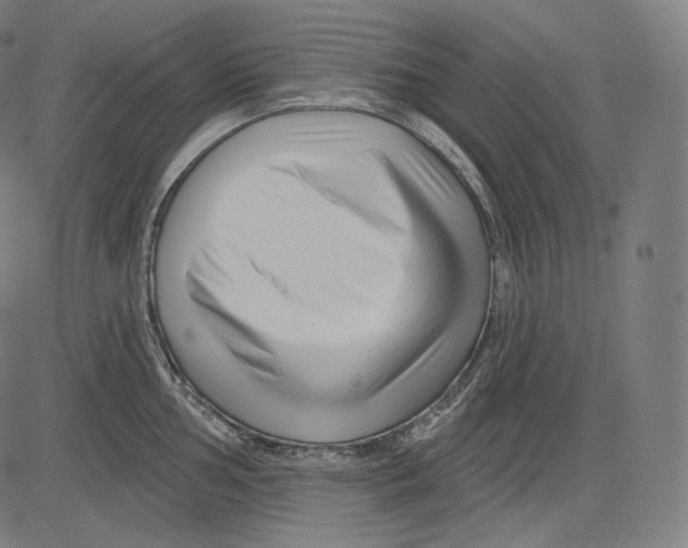 X0000083611002200703121558