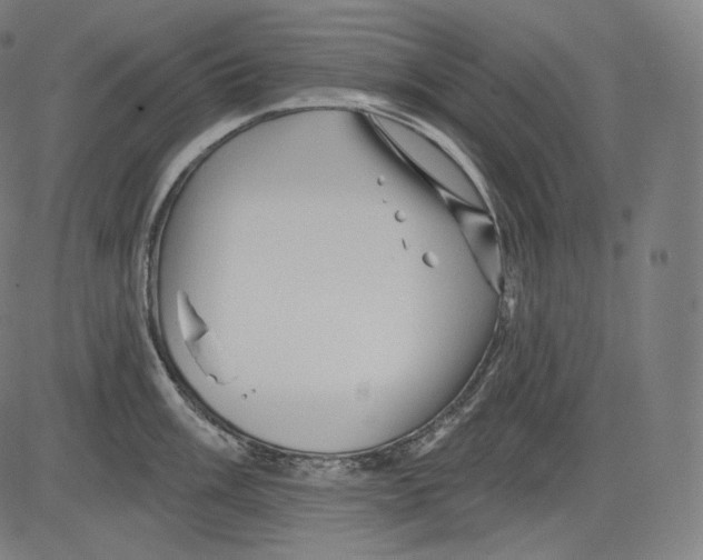 X0000083611003200703121558