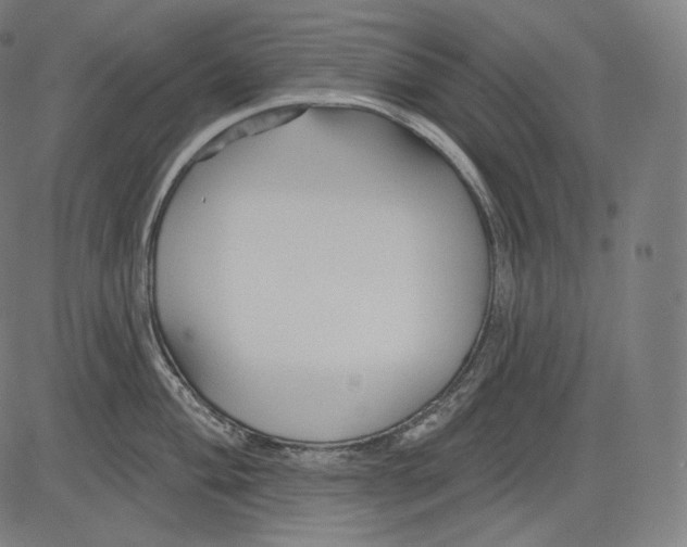 X0000083611004200703121558