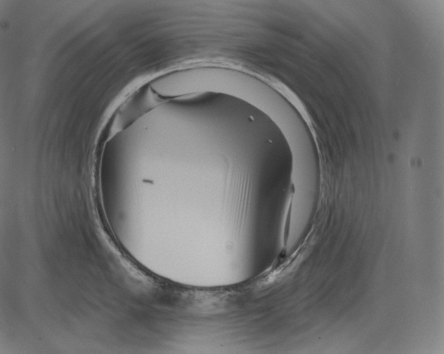 X0000083611005200703121558