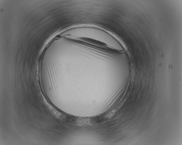 X0000083611006200703121558