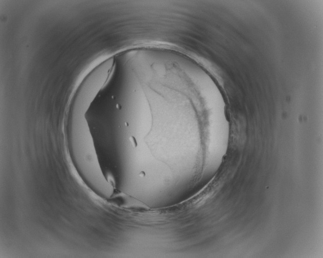 X0000083611007200703121557