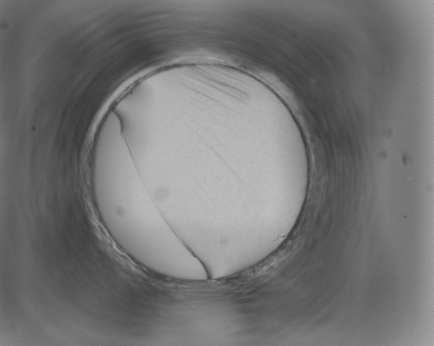 X0000083611008200703121557