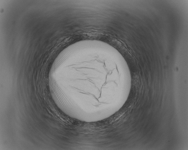 X0000083611009200703121557