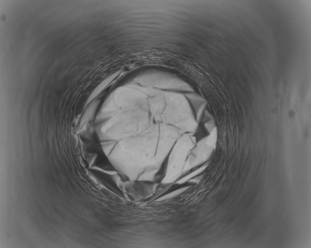 X0000083611010200703121557