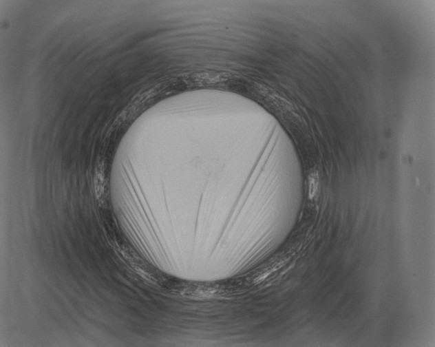 X0000083611011200703121557