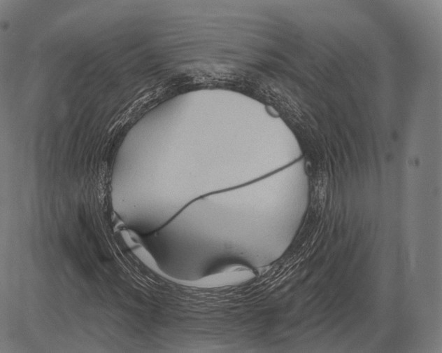 X0000083611012200703121557