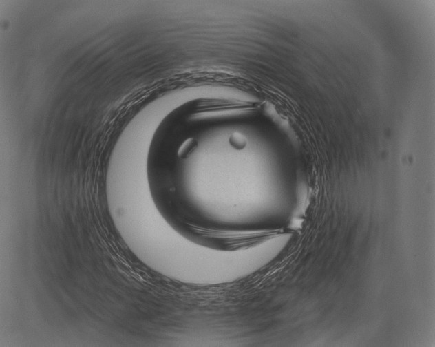 X0000083611014200703121557