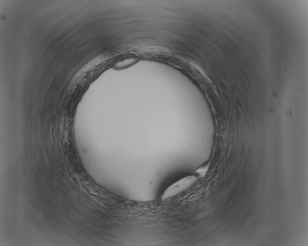 X0000083611016200703121557