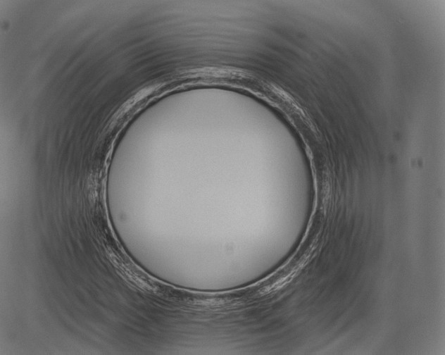 X0000083611017200703121557