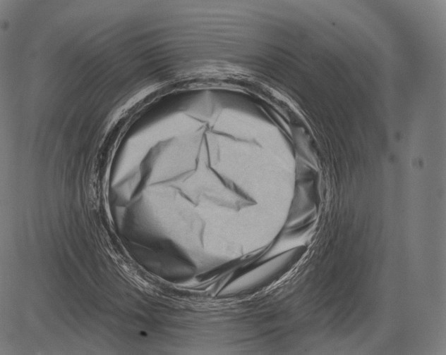 X0000083611018200703121557