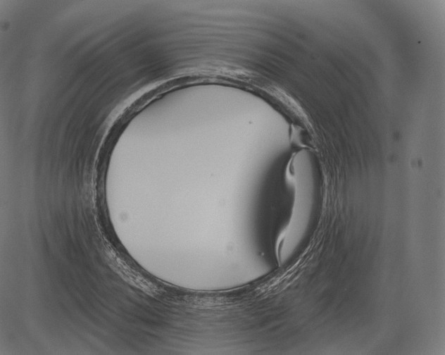 X0000083611020200703121557