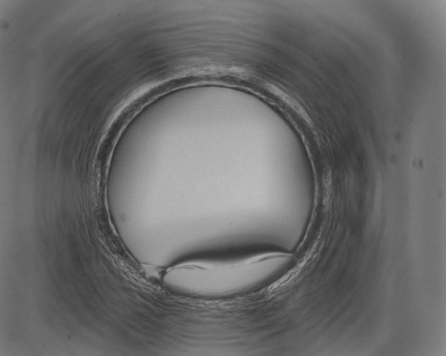 X0000083611021200703121557