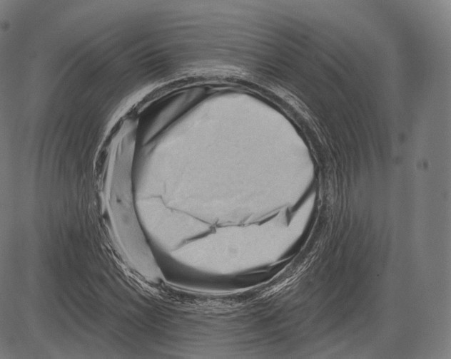 X0000083611022200703121557