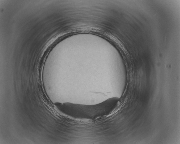 X0000083611023200703121557