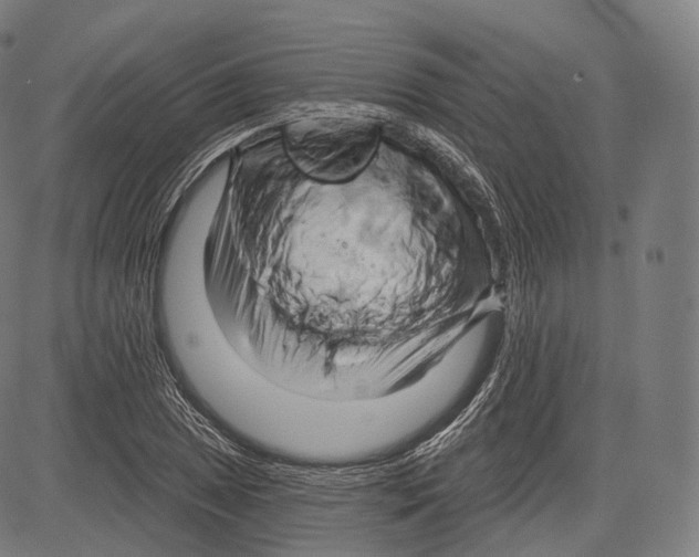 X0000083611025200703121557