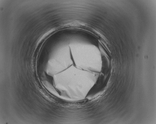 X0000083611026200703121557