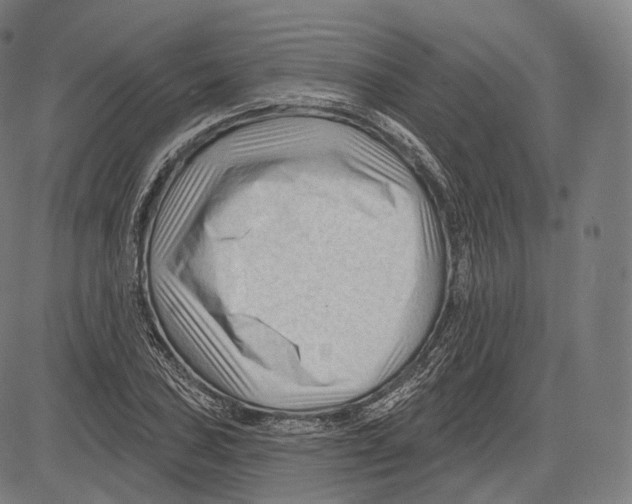 X0000083611027200703121557