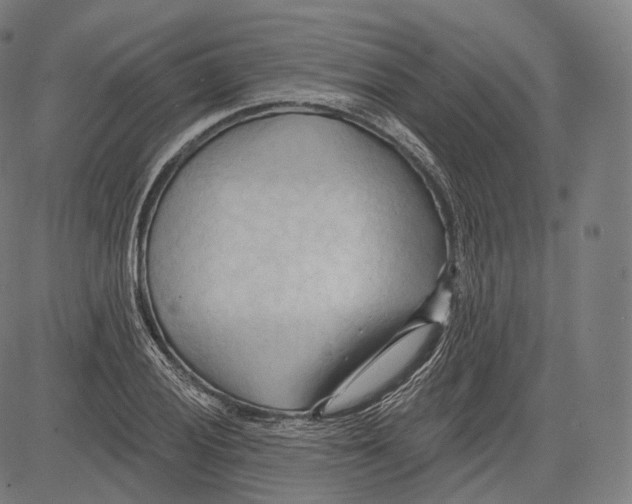 X0000083611028200703121557