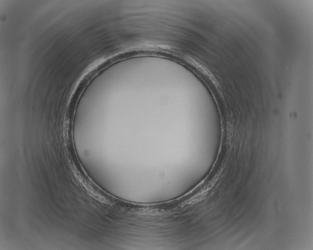 X0000083611029200703121557