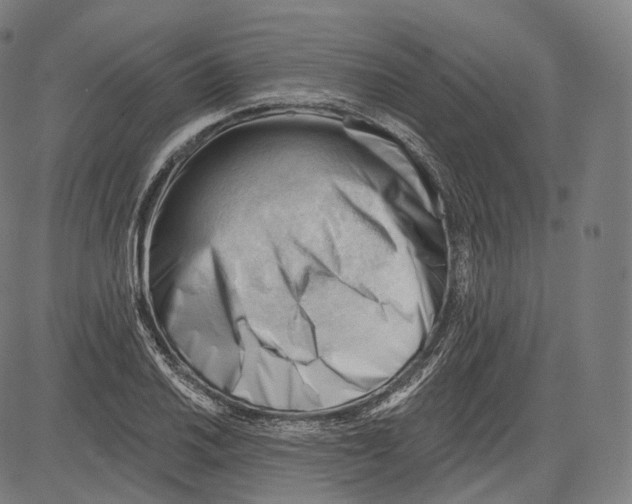 X0000083611030200703121557