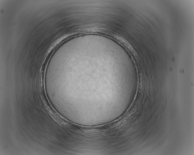 X0000083611031200703121557