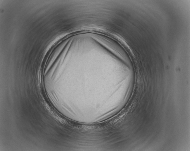 X0000083611032200703121557