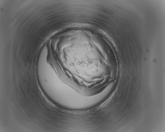 X0000083611033200703121557