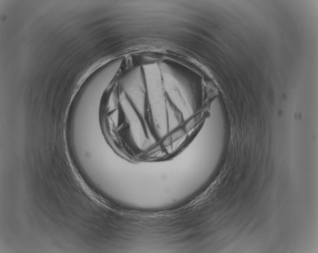 X0000083611034200703121557