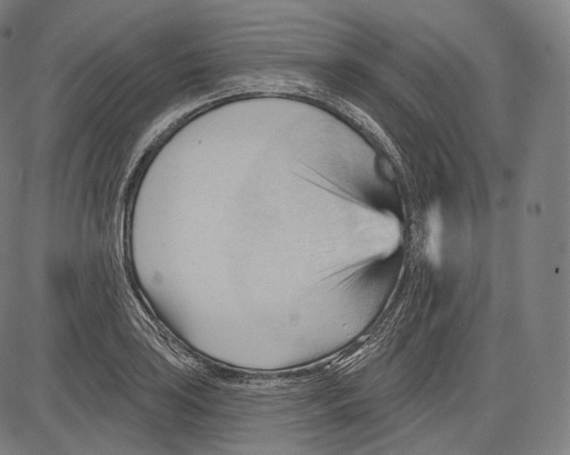 X0000083611035200703121557