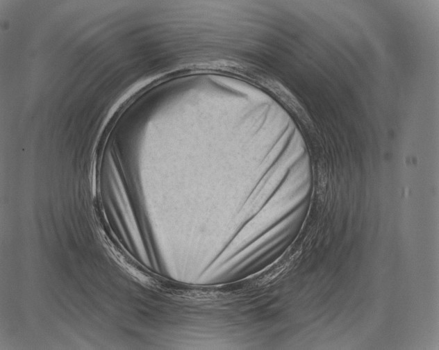 X0000083611036200703121557