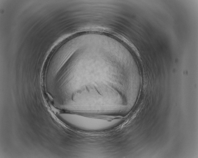 X0000083611037200703121557