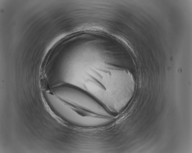 X0000083611038200703121557