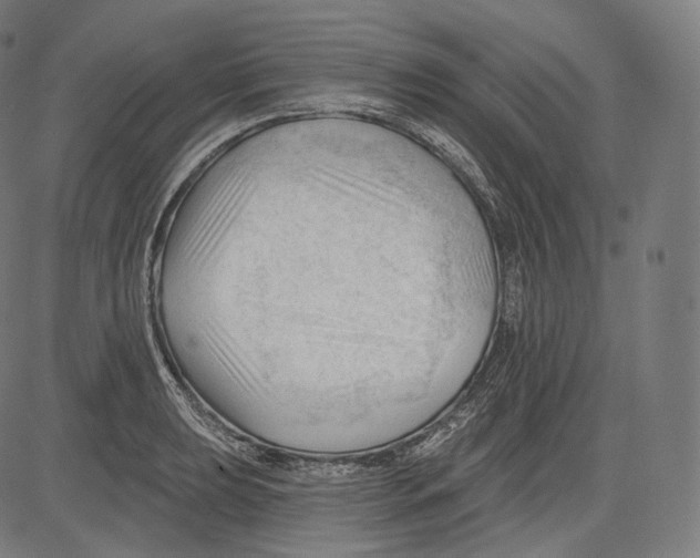 X0000083611039200703121557