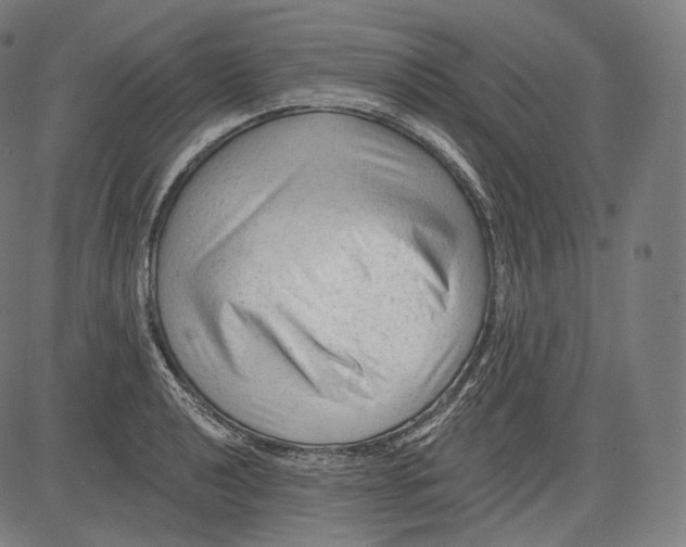 X0000083611040200703121557