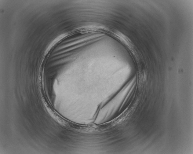 X0000083611042200703121557