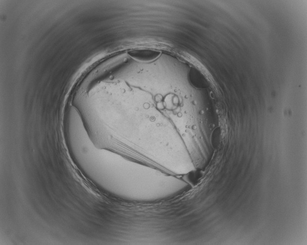 X0000083611043200703121557