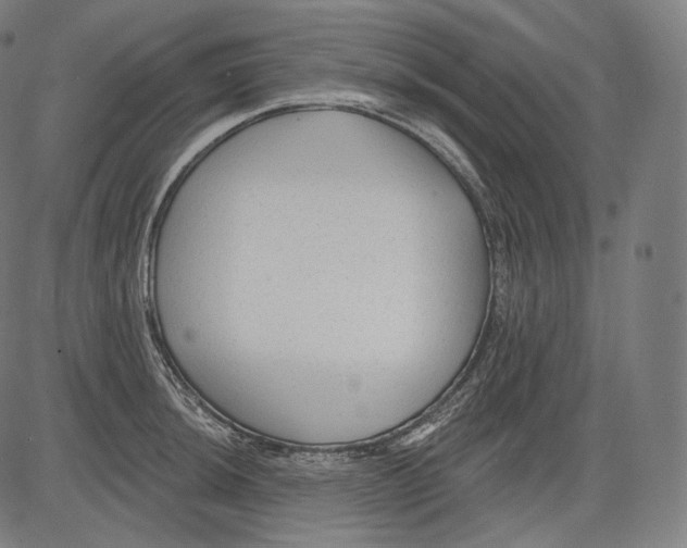 X0000083611044200703121557