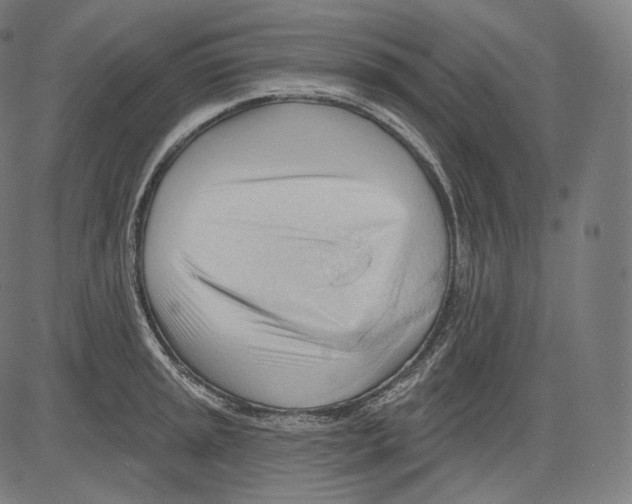 X0000083611045200703121557